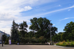 IMG_20250811_163547_13