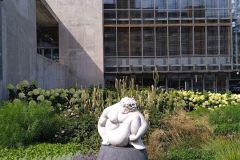 IMG_20250819_133823_1