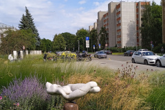 IMG_20250819_133959