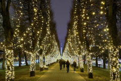 12_Elita-Survilo_1000040652