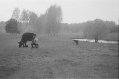 1_004039570014-Donats-Meznieks