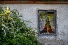 DSC_1571-Andris-Dumins