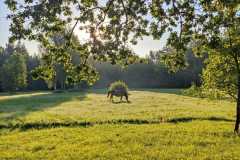 IMG-20231030-WA0000-Ilga-Rudovica