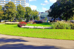 IMG20250923121734