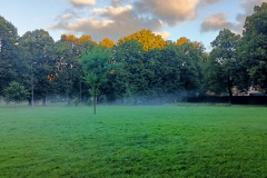 IMG20250925075050