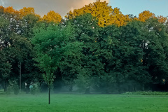 IMG20250925075141