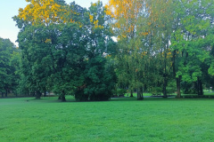 IMG20250925075318