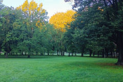 IMG20250925075439