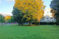 IMG20250925075921
