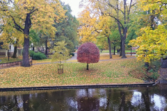 IMG20251024103626