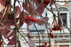 IMG_20251123_150629-Наталья-Куценко