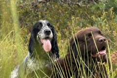 IMG_7783-Julija-Puskarjova