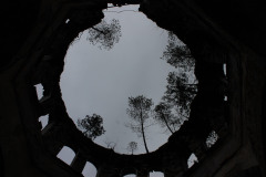 IMG_7919-Barbara-Smirnova