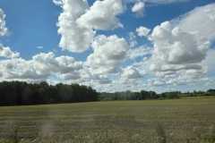 WhatsApp-Image-2025-11-08-at-12.13.54