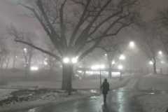 WhatsApp-Image-2025-11-08-at-12.21.49