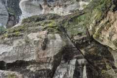 inbound3021221125532528454-Liga-Ozola