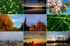 inbound464679261790935750-Liana-Dimitrijeva