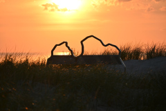 inbound5991947851137064541-Daiga