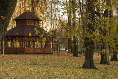 Kluss-rudens
