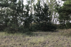 FBF5CDD6-8E43-4576-BD05-430819A15442