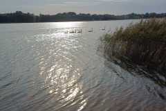 IMG-20250914-WA0008