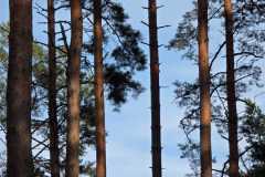 WhatsApp-Image-2025-09-18-at-16.53.21