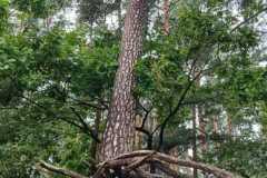 WhatsApp-Image-2025-09-18-at-20.15.40