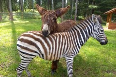 WhatsApp-Image-2025-08-07-at-21.27.10