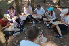 IMG-20250715-WA0124